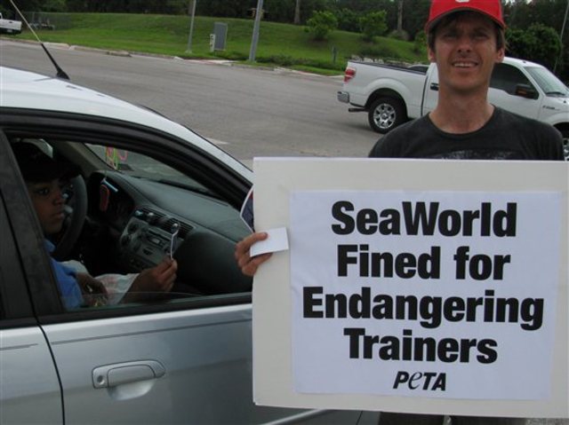 SeaWorld Fined