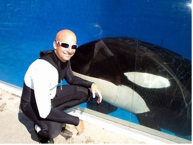 Ken Peters Dragged Under