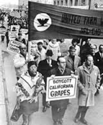 UFW's Nationwide boycott of grapes