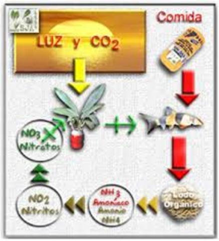 leyes clasicas de la quimica