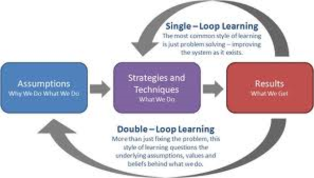 Single Loop and Double Loop Learning - Argyris & Schon