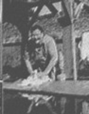 La Lavandière dans les lavoirs publics :