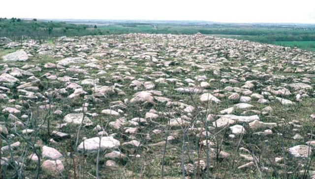 Purchased Iron ore fields