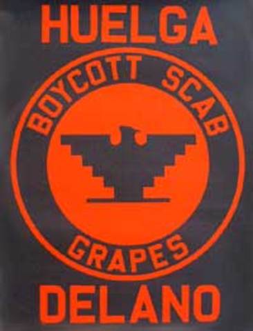 Boycott of Grapes