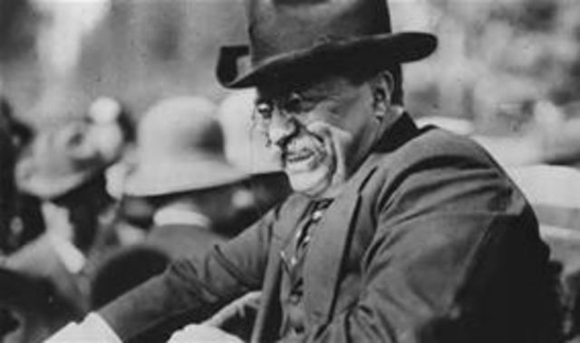 Theodore Roosevelt's Progressive Party