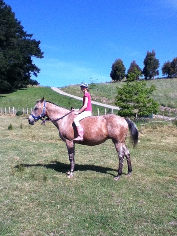 Got my first horse, Chickie