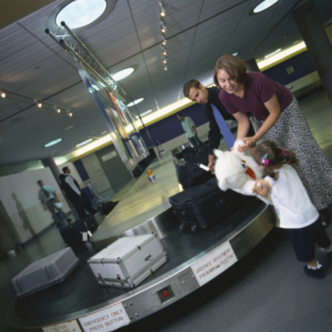 Family collects luggage.