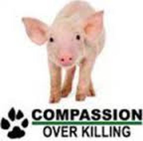 Compassion Over Killing
