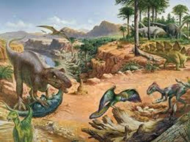 Jurassic Period 200-145 MYA
