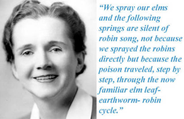 Publication Of Rachel Carson's silent spring