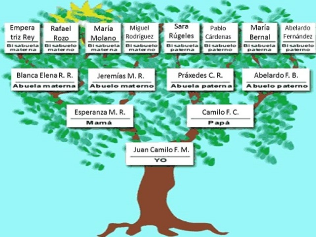 Arbol Genealógico