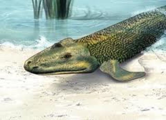 Silurian Period (435-395)