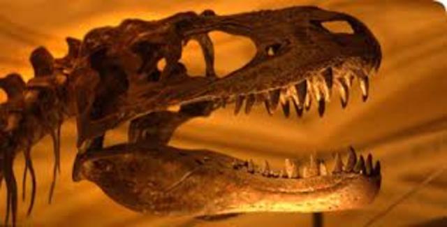 Creataceous Period (136-65)