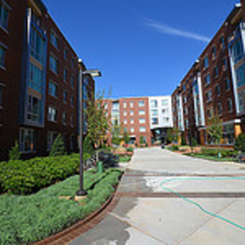 Wolf Ridge Check-Out