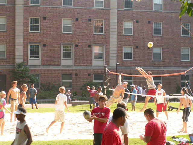 Summer Application Opens