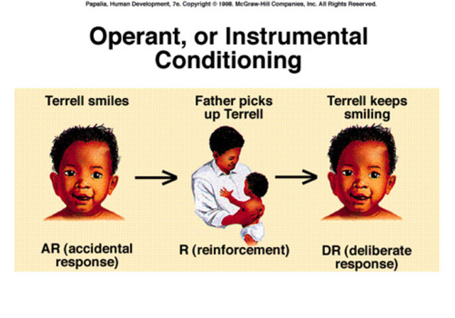 Management Operant Conditioning Theory