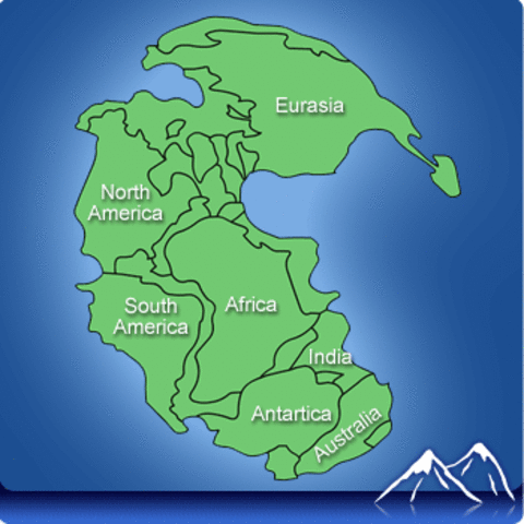 Permian Period-286 mya