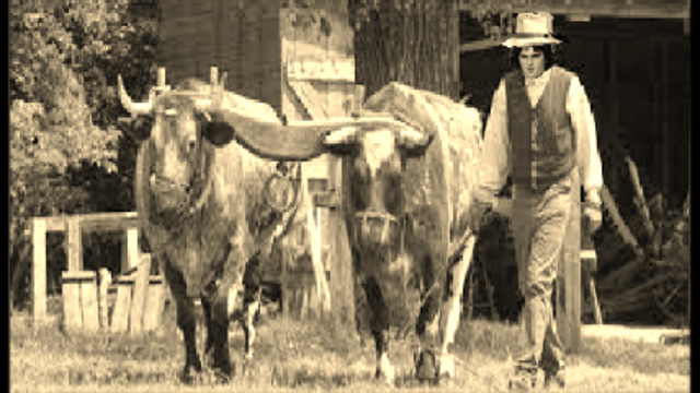 Arnold Mirarchi arrives in Moolap