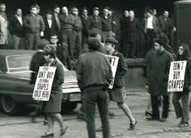 UFW’s Nationwide Boycott of grapes picked on nonunion farms