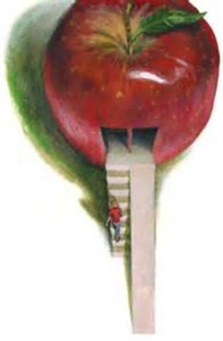 Education of the Handicapped Act Ammendments (Public Law 99-457)