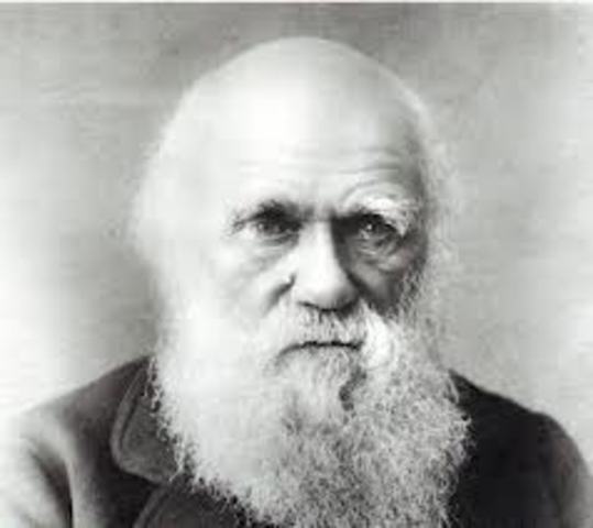 Darwin
