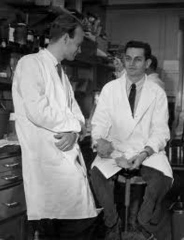 Nirenberg, Matthaei, Leder, and Khorana