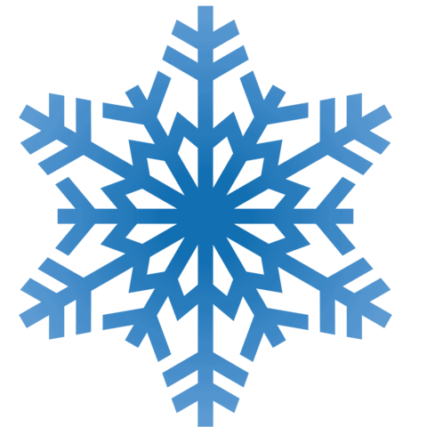 Did first winter concert