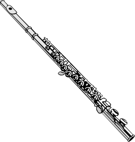 First learned flute