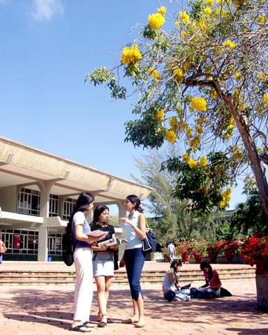 started of my carrer!