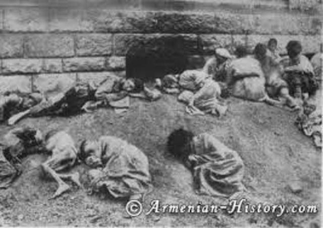 Armenian Genocide