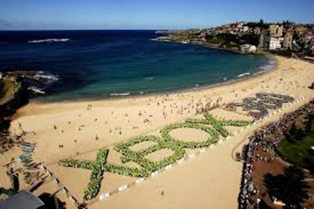 The Xbox becomes extremely popular