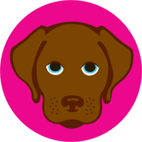 MIAMI AD SCHOOL: Creative Execution