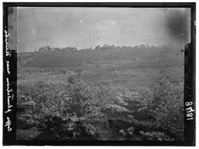 East Africa Protectorate