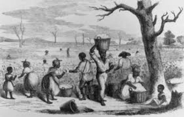 Cotton Trade