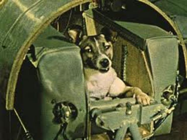 USSR launches Sputnik 2 which carried a small dog named Laika into orbit.