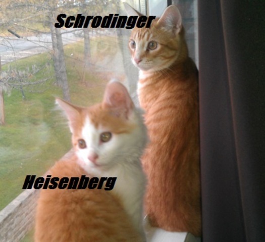 The newest atom update