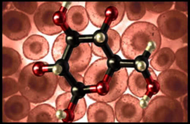 Chemical Reactions With Our Cells :Early 1800s