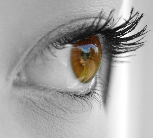 Rodríguez y otros...