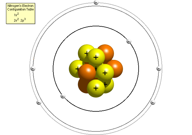 Bohr