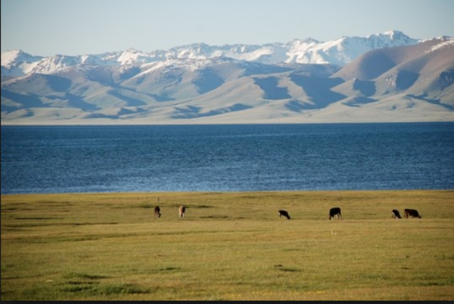 Are we civil or barbaric?