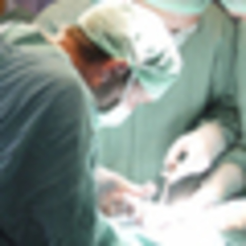 Florence Nightingale