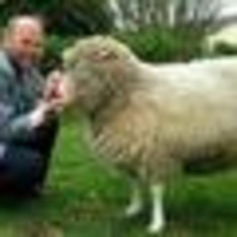 Clonación de la oveja Dolly