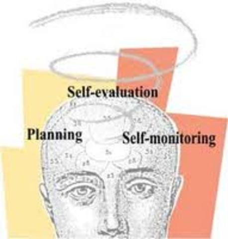 Metacognition Theory