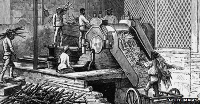 Jamaican Sugar Plantation Yield Increase