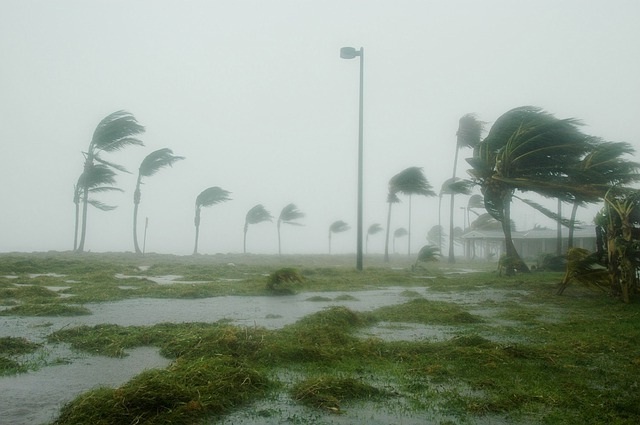 The great Miami Hurricane hits Florida