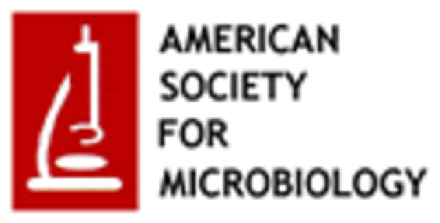 PCG begins representing ASM