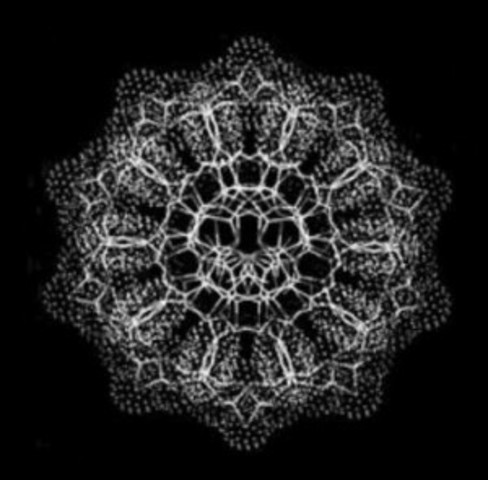 DNA crystals photographed