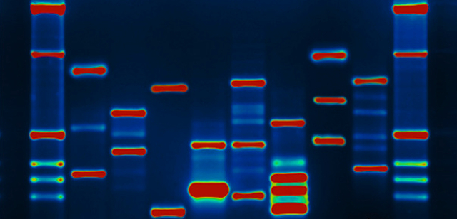 Work with heredity and genes