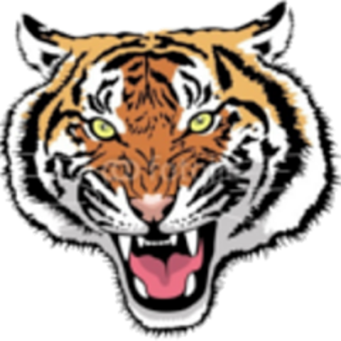 Fundación De La Academia El Tigre