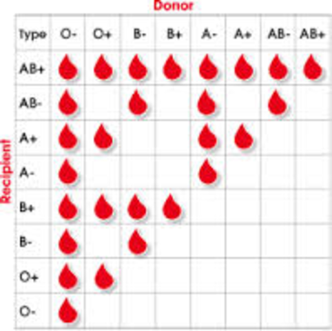 Human Blood Groups